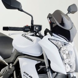 Ζελατίνα Puig New Generation Kawasaki ER-6 N 09-11