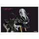 Ζελατίνα Puig Touring-Racing BMW F 850 GS/Adv. ελαφρώς φιμέ